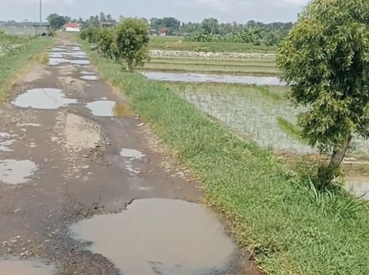 Jalan Penghubung Desa Bulusari dan Desa Ci Sumur Rusak Parah