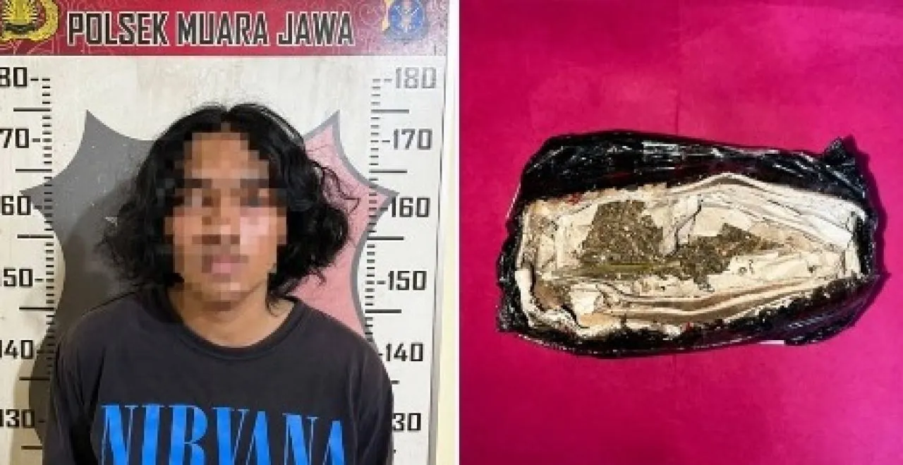 Polsek Muara Jawa Gagalkan Pengiriman Ganja Lewat Jasa Ekspedisi