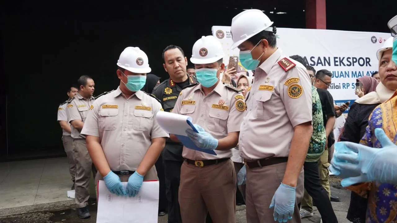 Karantina Kepulauan Riau Sertifikasi Ekspor 19,2 Ton Daging Kelapa