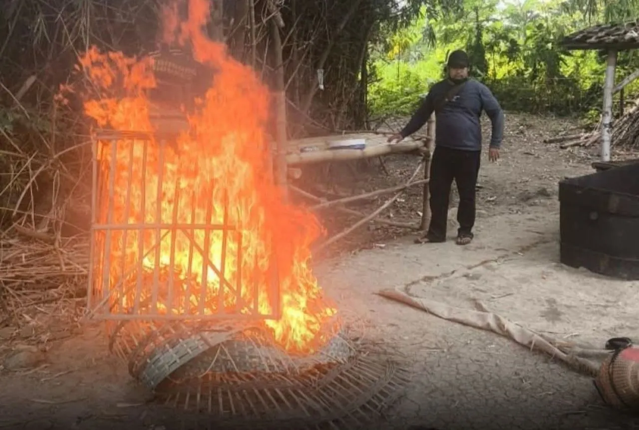 Arena Sabung Ayam di Desa Kesamben Kulon Digrebek Polsek Wringinanom