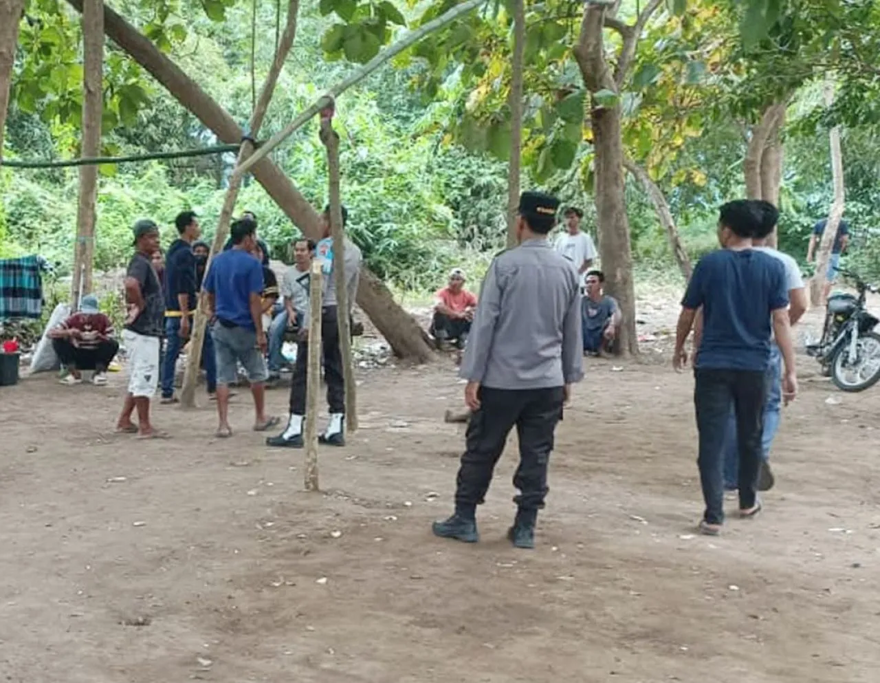 Polsek Lambu Bongkar Arena Sabung Ayam di Desa Melayu