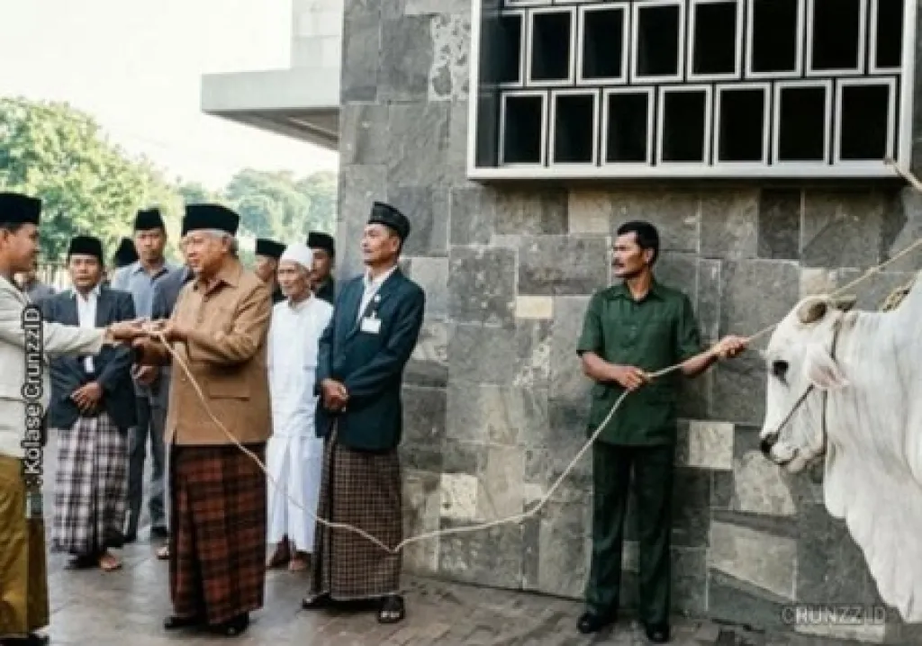 Misteri Sapi Kurban Presiden Republik Indonesia