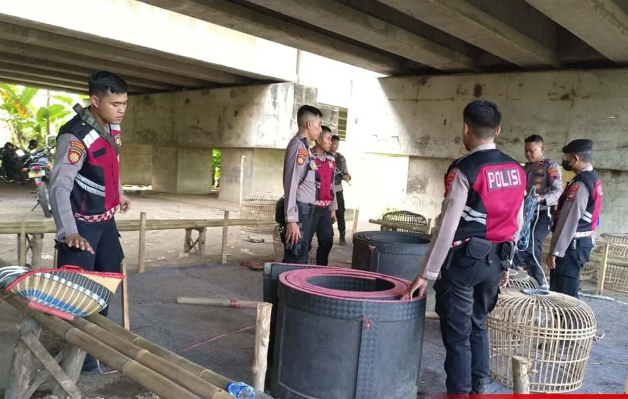 Polres Brebes Gerebek Lokasi Sabung Ayam Desa Limbangan