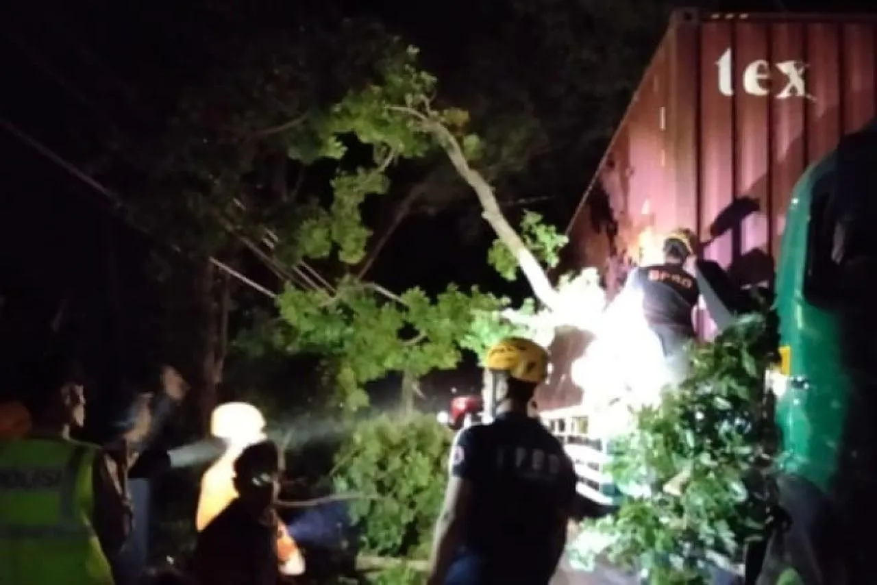 Angin Kencang, Pohon Besar Tumbang Timpa Truk Kontainer di Magetan