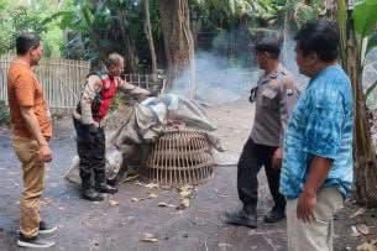 Polsek Balongbendo Grebek Sabung Ayam di Desa Seketi