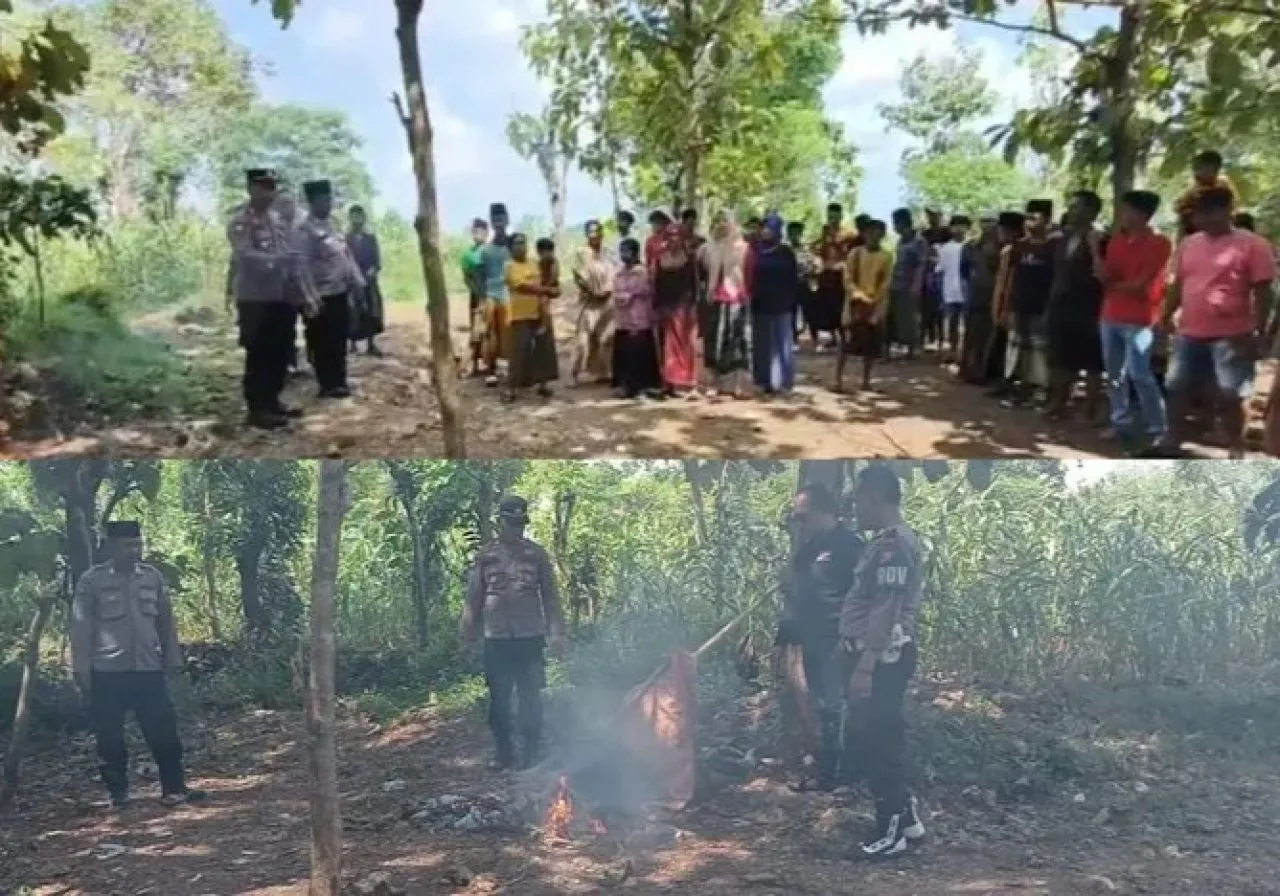 Arena Sabung Ayam di Desa Bira Tengah Digrebek Polsek Sokobanah
