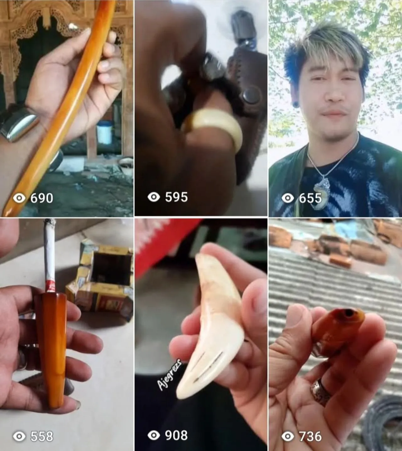 Jual Aksesoris dari Kulit Harimau dan Gading Gajah, Warga Desa Gadung Divonis 3 Tahun Penjara