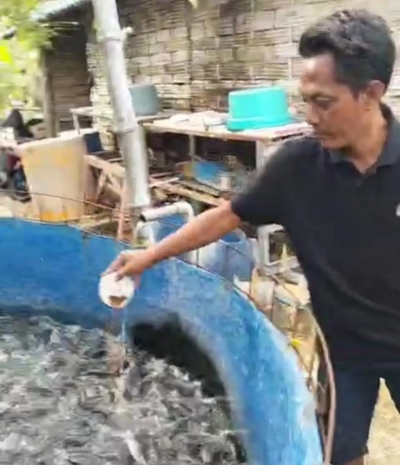 Direktur PT Den Bagus Perkasa Sukses Budidaya Ikan Lele Berawal dari Hobi