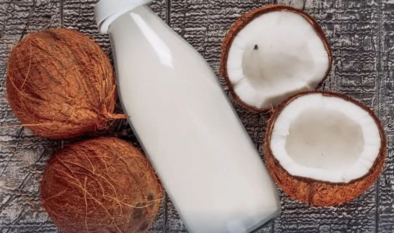 PT Kether Coco Bio Ekspor 260 Ton Santan Beku ke Tiongkok