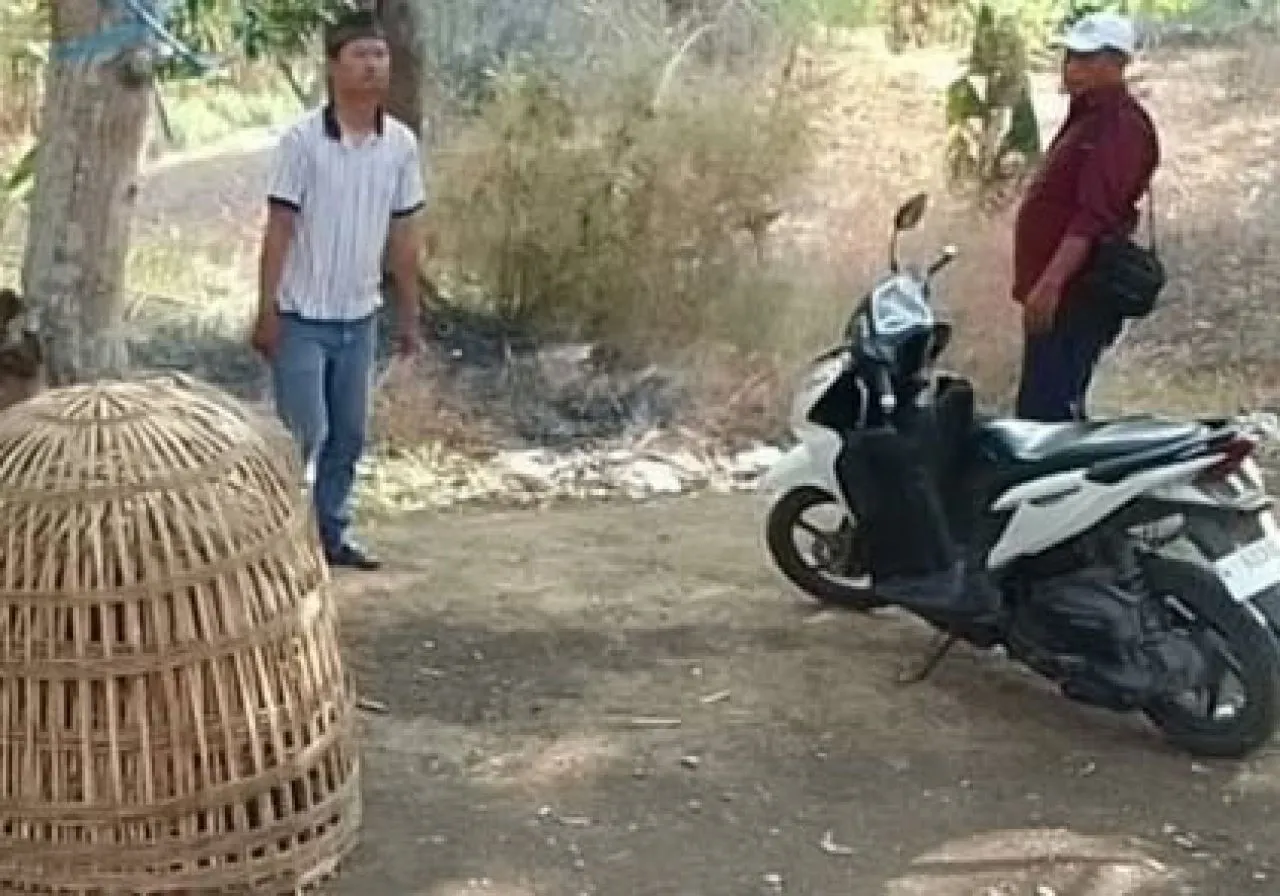 Penjudi Sabung Ayam Lolos Dari Kejaran Polsek Menganti