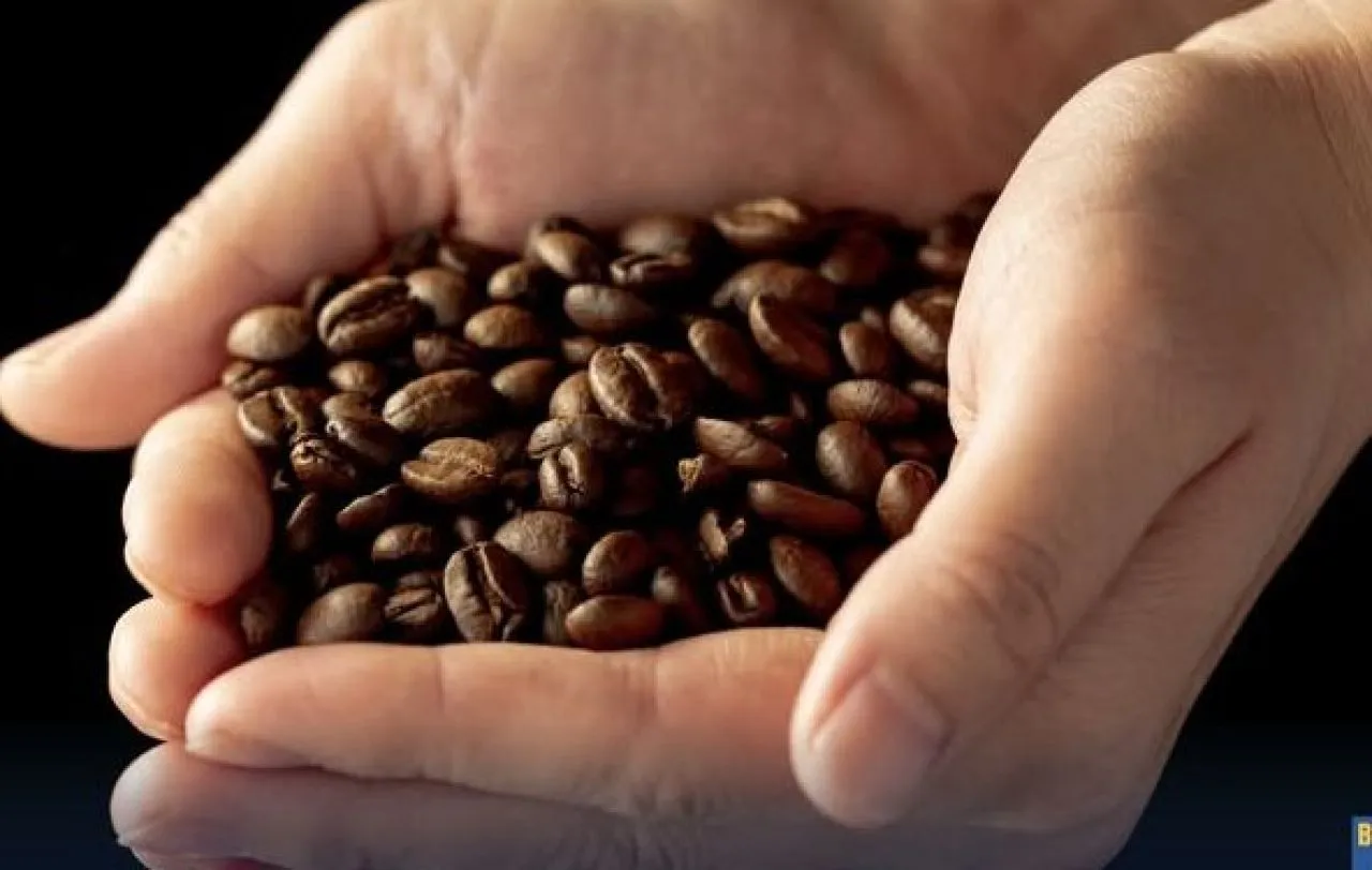 PT Sari Alami Ekspor Kopi Robusta ke Hongkong