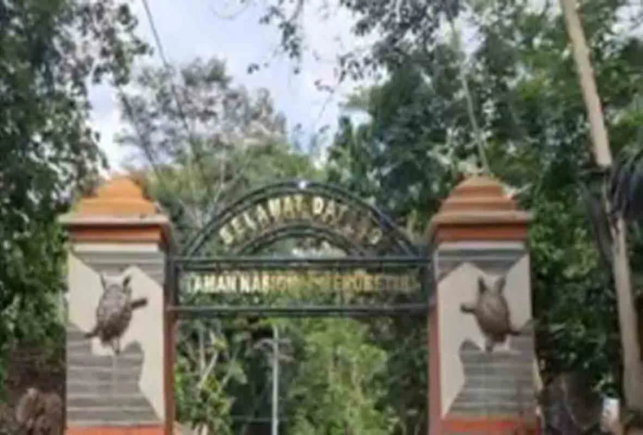 Penambangan Emas Ilegal di Kawasan Taman Nasional Meru Betiri
