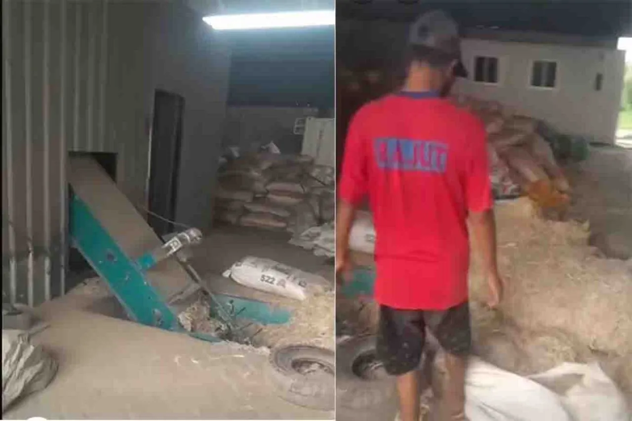 Pabrik Bulu Ayam di Krikilan Bandel, Buka Lagi Usai Disidak DLH Gresik