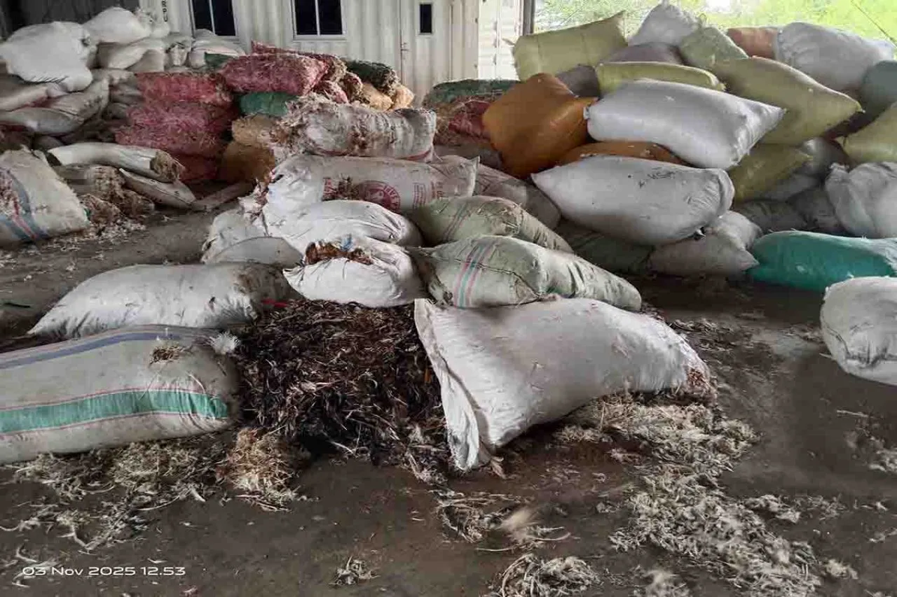 DLH Gresik Sidak Pabrik Pengolahan Bulu Ayam di Desa Krikilan