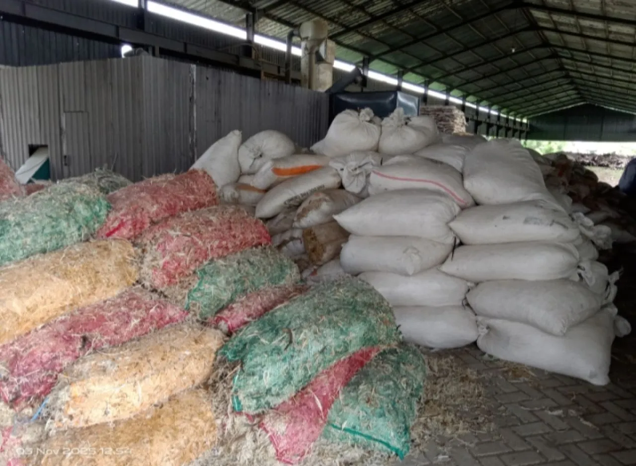 Pengolahan Bulu Ayam di Driyorejo Timbulkan Bau Tak Sedap