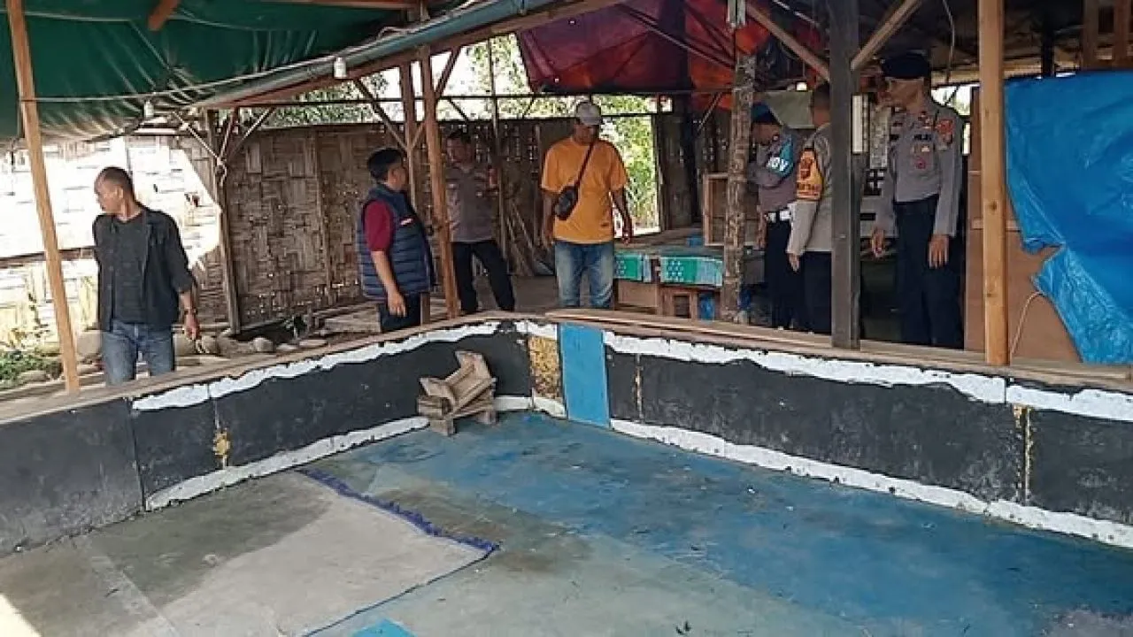 Perjudian Sabung Ayam di Pinang Mancung Kosong Saat Digrebek