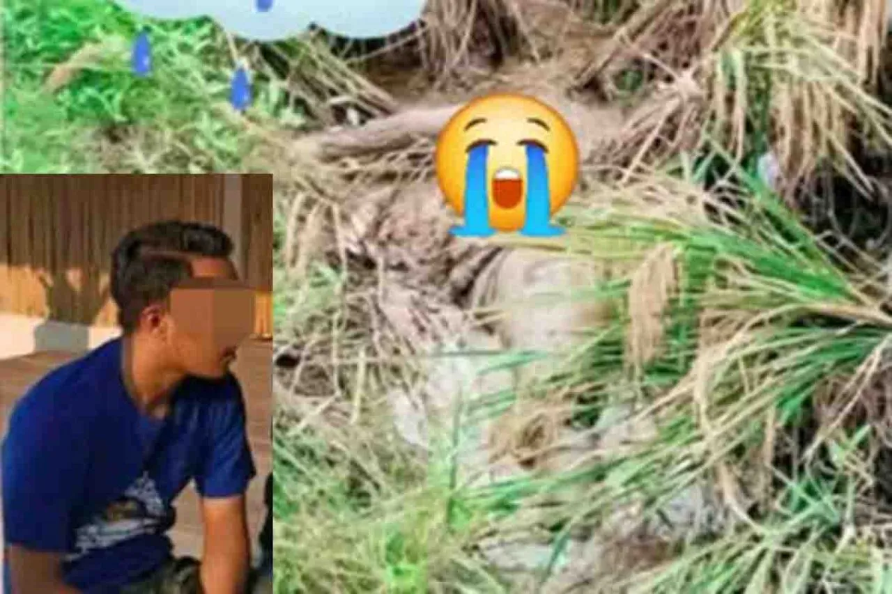 Sulthon Farid Ahmadi Membunuh Kekasihnya Setelah Hubungan Badan
