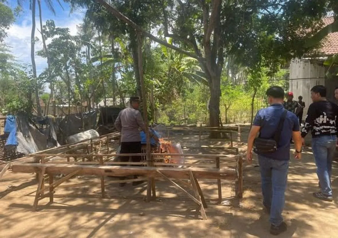 Arena Sabung Ayam Sepi Saat Digrebek Polsek Kalipuro