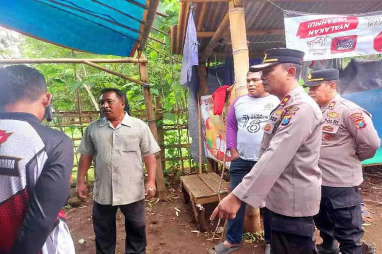 Penertiban Arena Sabung Ayam di Desa Pucangsari Pasuruan