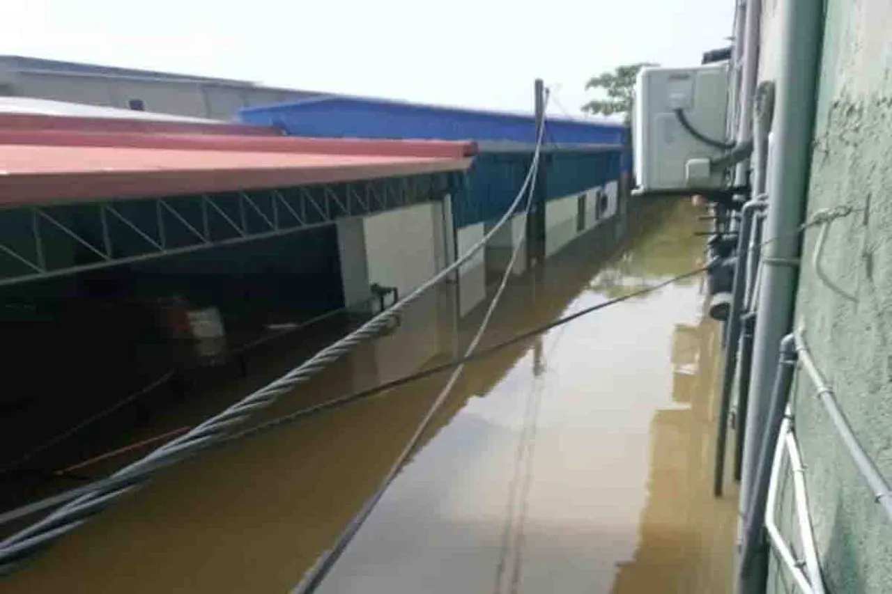 Kisah Pahit Founder Blue Fish Ceylon Saat Pabriknya Terendam Banjir