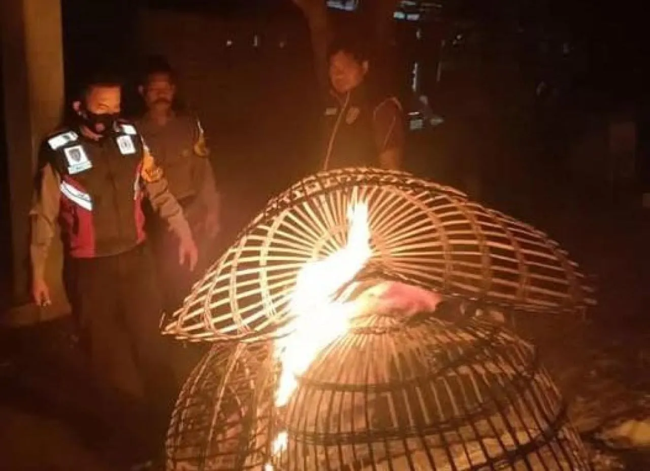 Polsek Balongbendo Grebek Lokasi Sabung Ayam di Desa Kemangsen