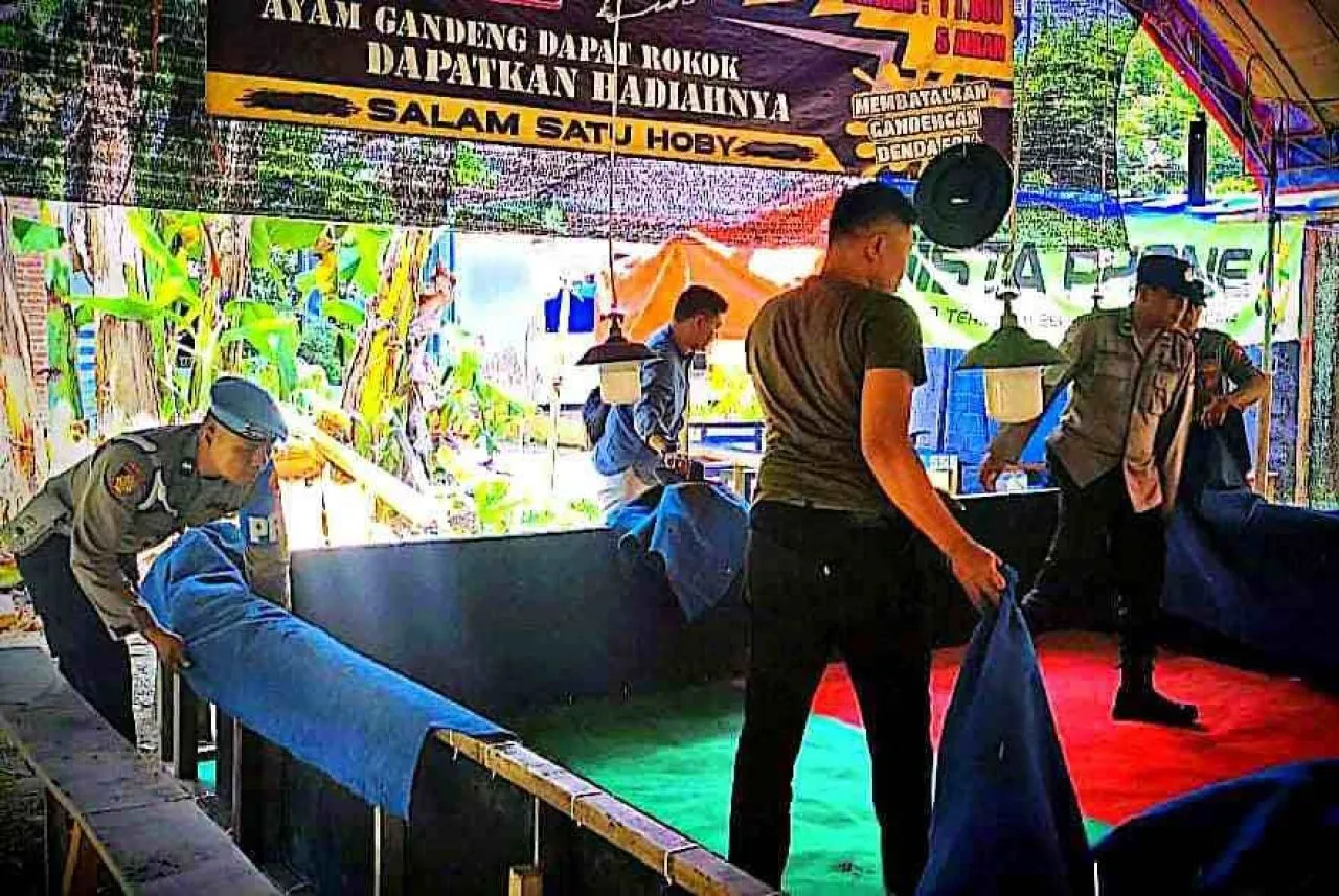 Polres Trenggalek Grebek Arena Sabung Ayam di Desa Pogalan
