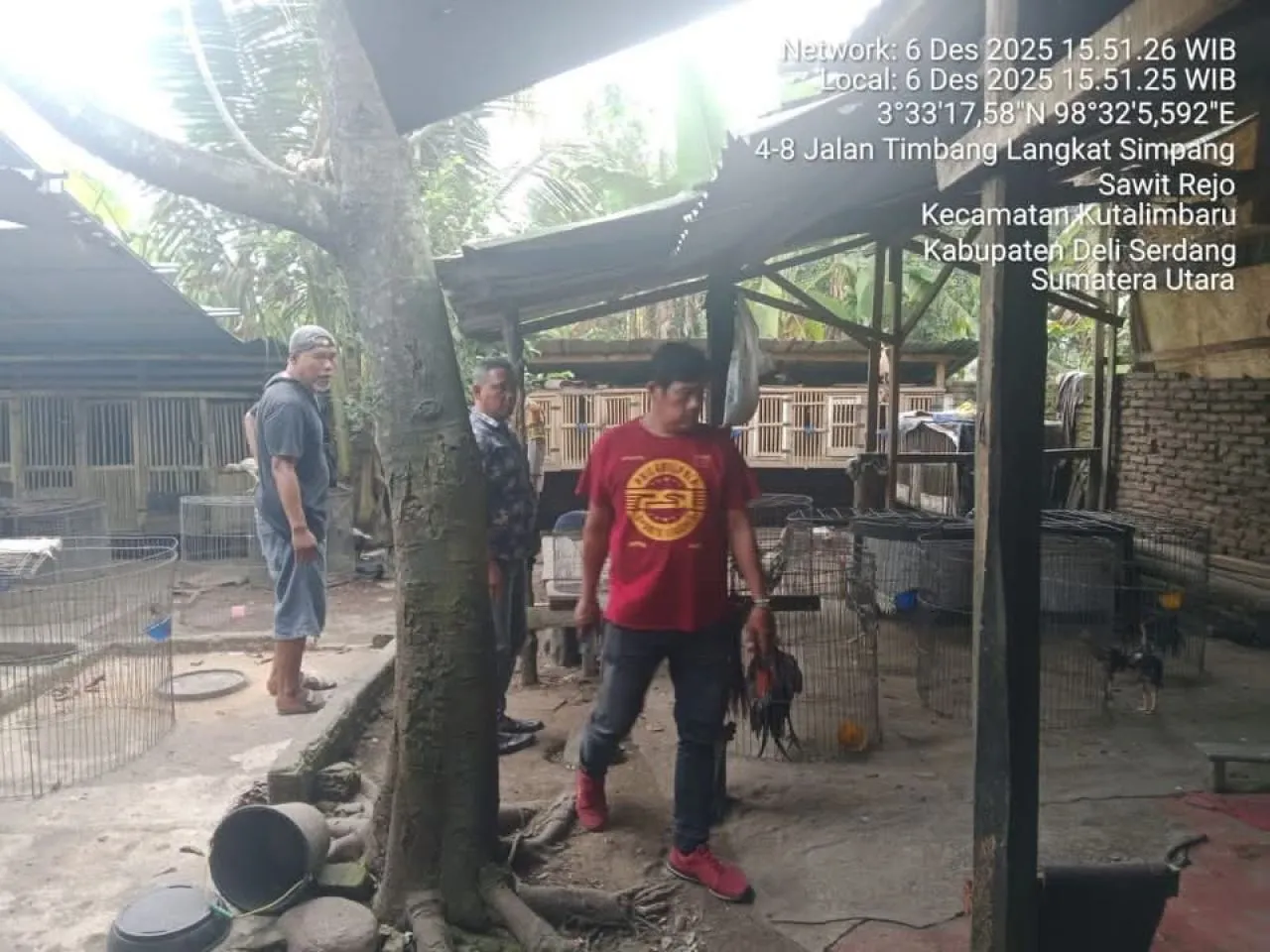 Polsek Kutalimbaru Grebek Lokasi yang Disinyalir Jadi Arena Sabung Ayam