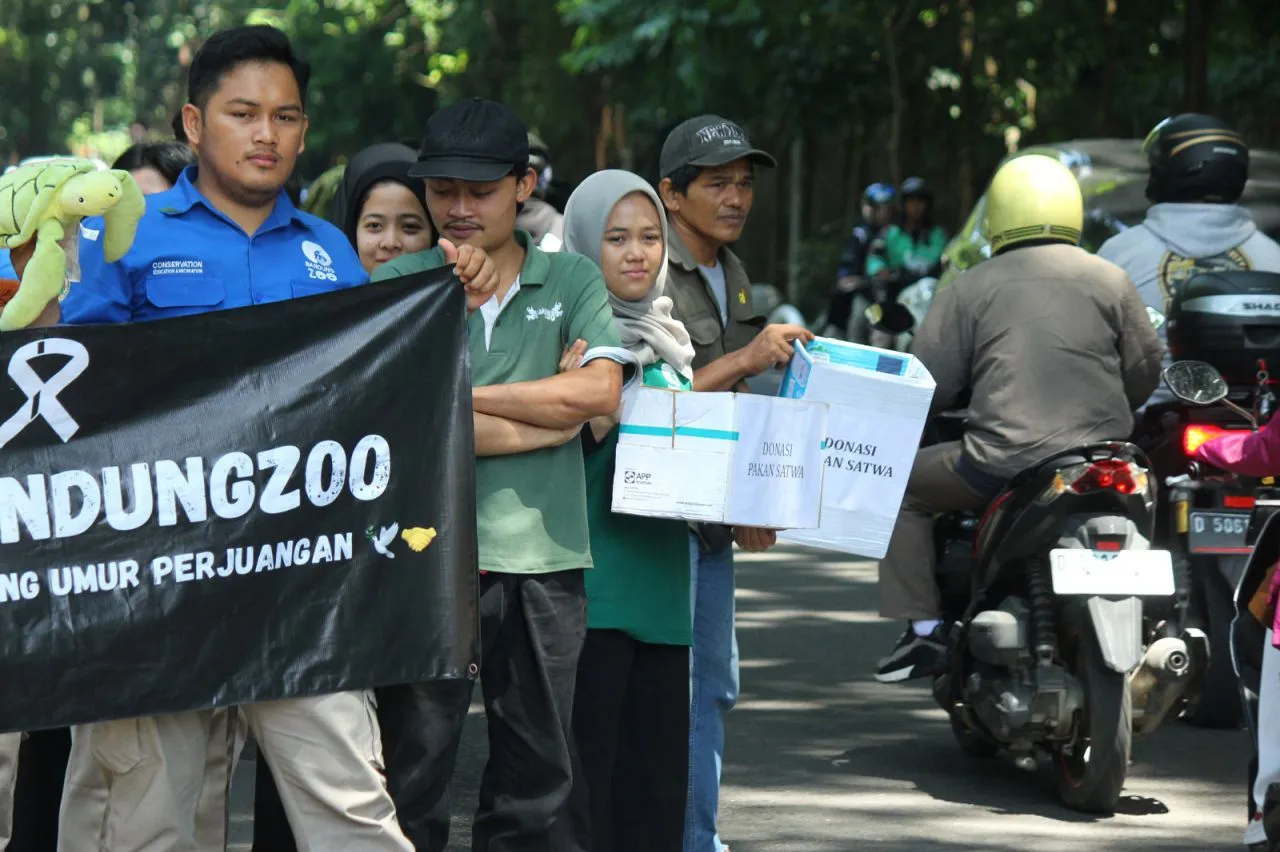 Sebanyak 711 Satwa Bandung Zoo Bertahan dari Donasi Publik