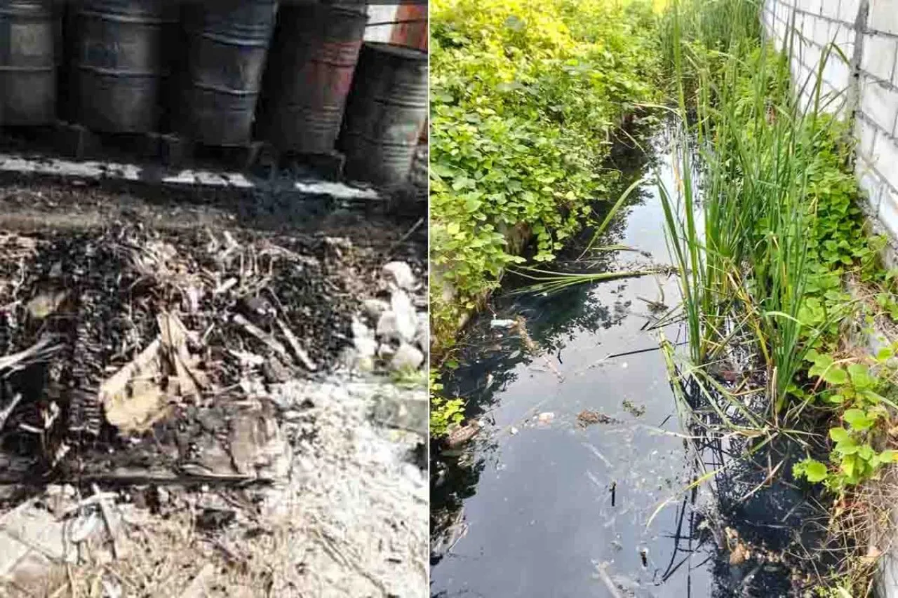 Limbah B3 Mencemari Tambak di Desa Banjarsari Gresik