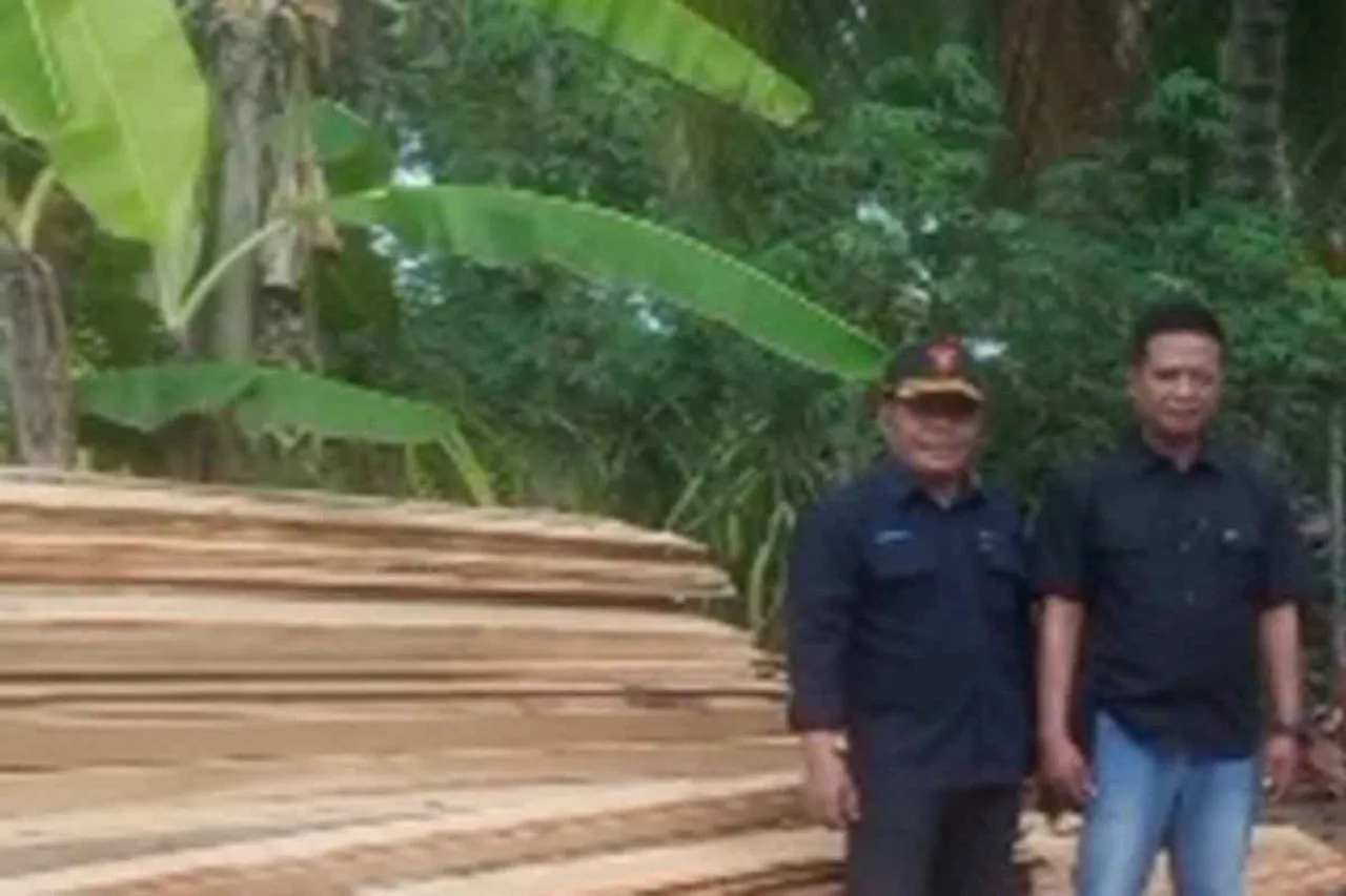 M Zaenal Abidin Tebang Kayu Jati Tanpa Izin di Pesanggaran Banyuwangi