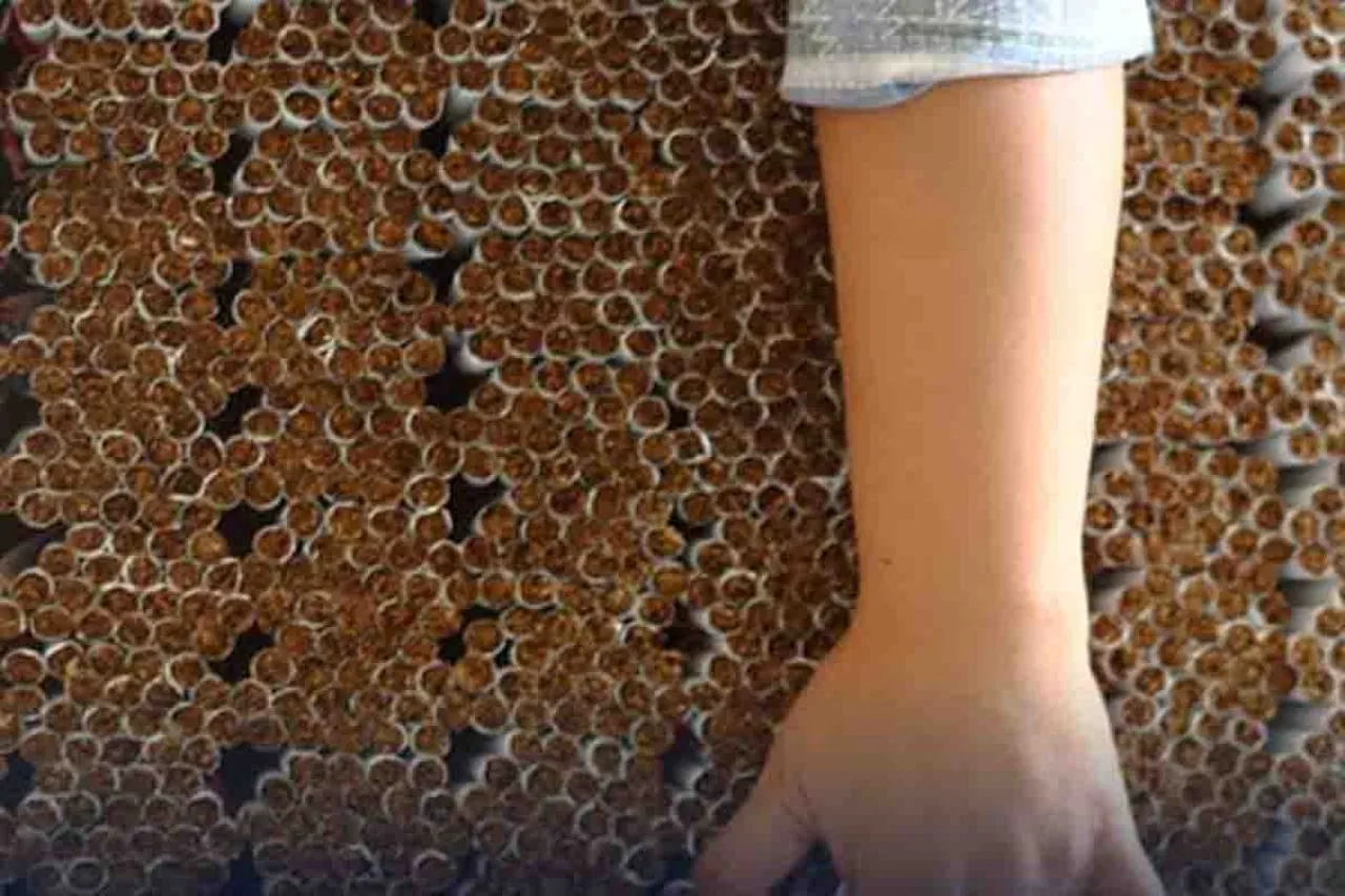 Bea Cukai Semarang Tindak Rokok Ilegal Senilai Rp 2,85 Miliar