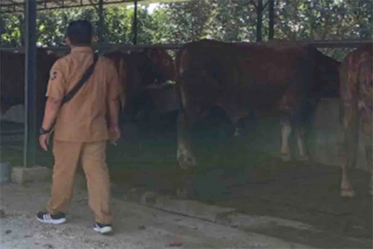 Penggelapan Investasi Ternak Sapi di Kediri, Khanafi Ansori Divonis Penjara