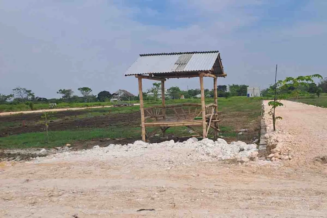 Alih Fungsi Lahan di Gresik Membuat Lahan Pertanian Menyempit