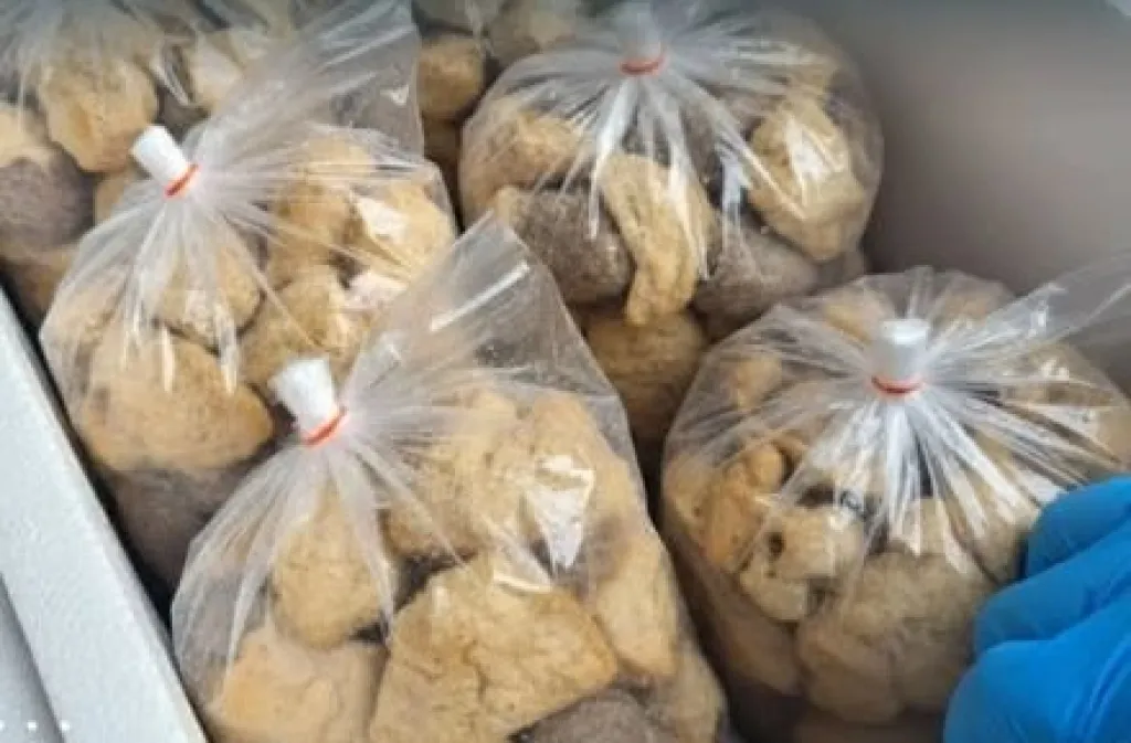 Tahu Bakso Ayam Kalimantan Barat Diminati Pasar Malaysia