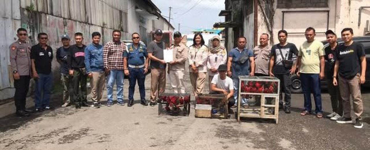 Ungkap kasus penyelundupan satwa dilindungi