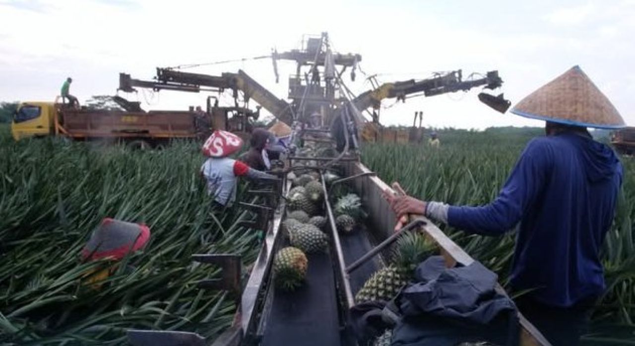 Mesin pertanian