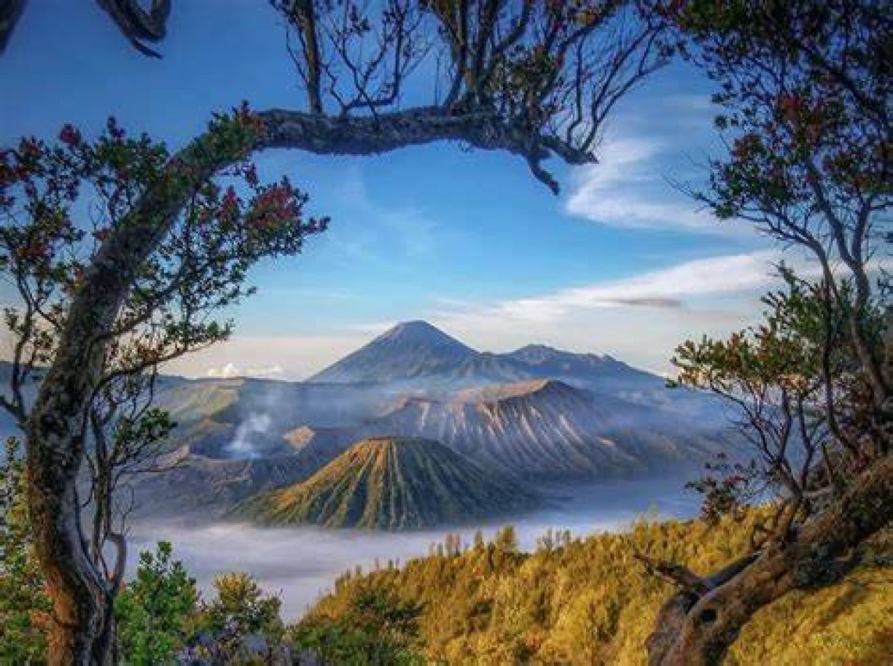 Gunung Bromo. (Foto : FB Agus Supriyadi)