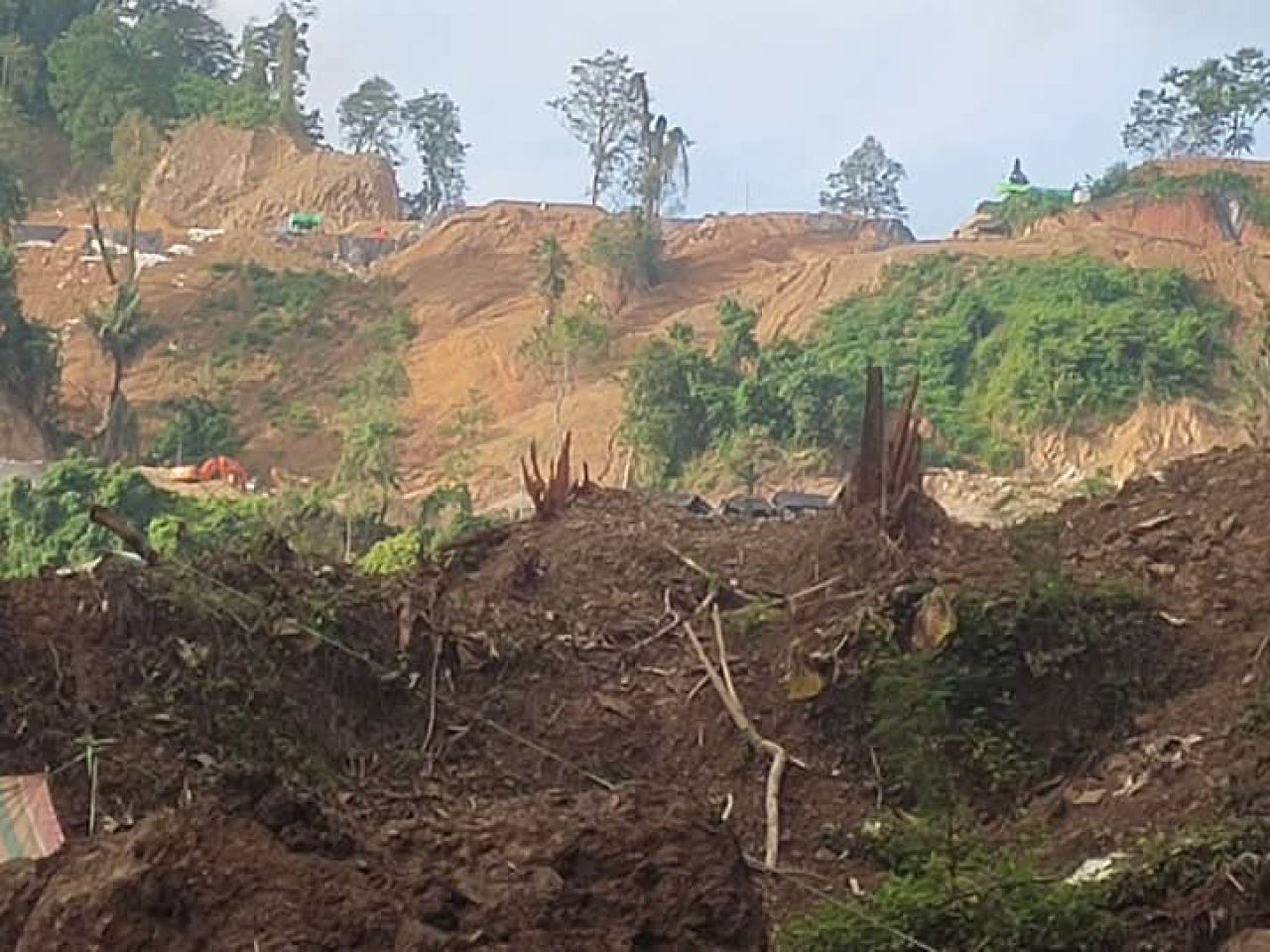 Kerusakan hutan di Desa Ratatotok