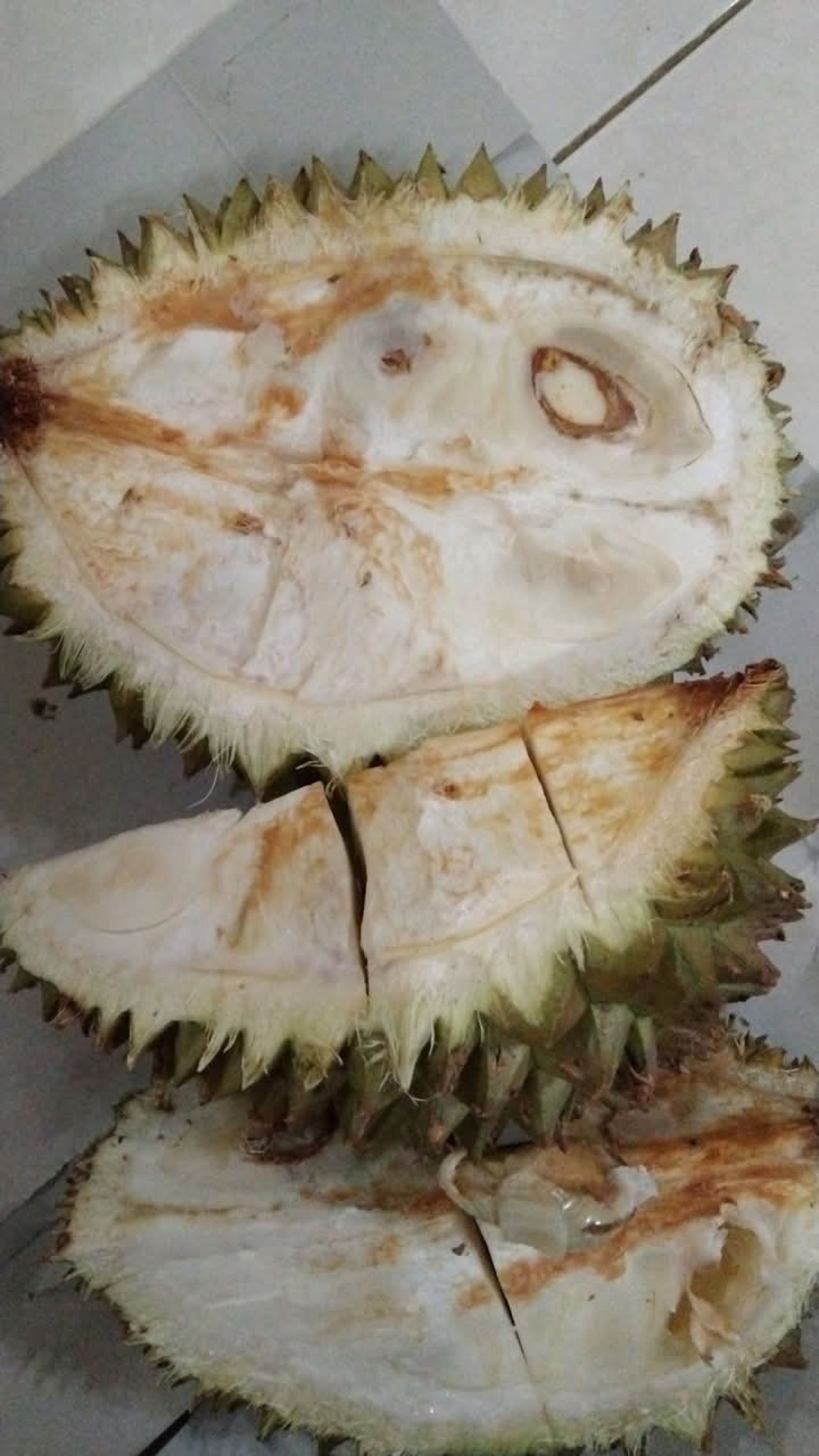 Durian di area Masjid Cheng Hoo, Kecamatan Pandaan