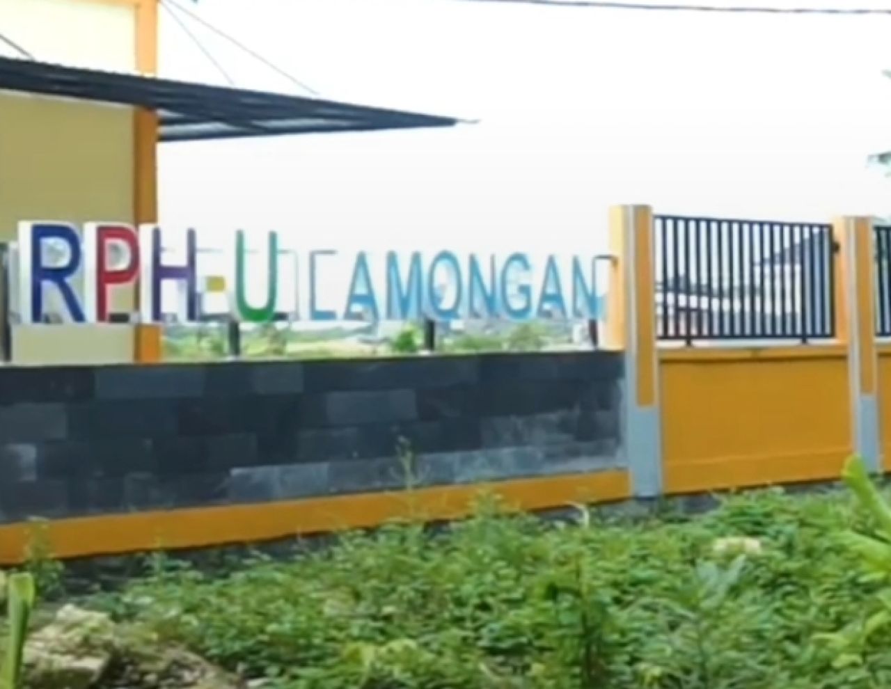 RPH Unggas di Kabupaten Lamongan