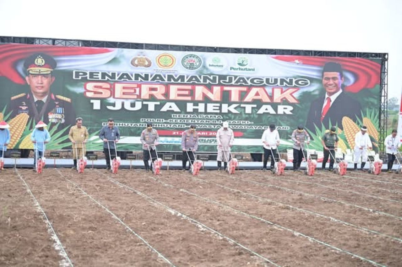 Penanaman jagung oleh Polda Kalbar