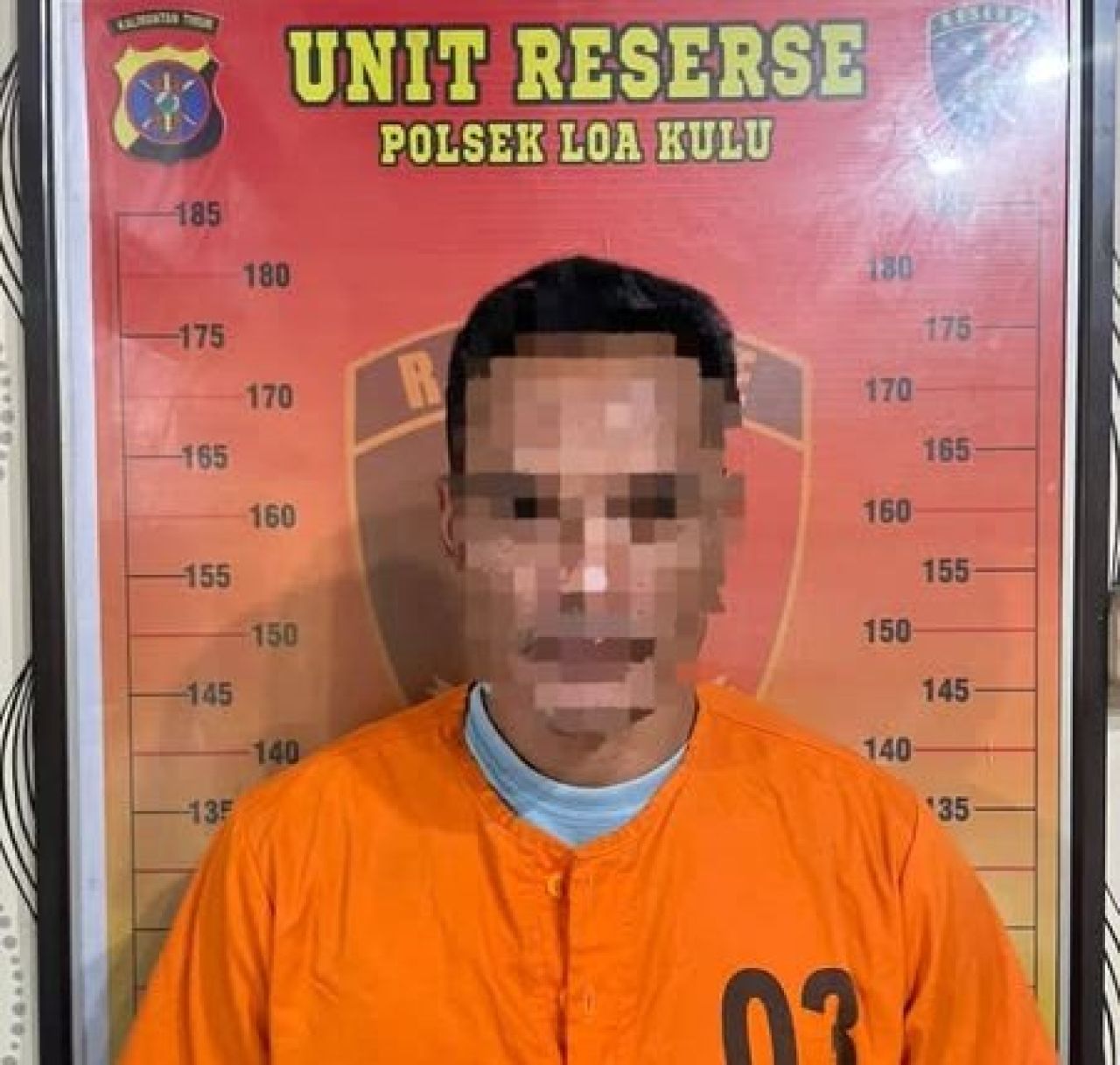 Pencuri Kelapa Sawit di Desa Jonggon Jaya