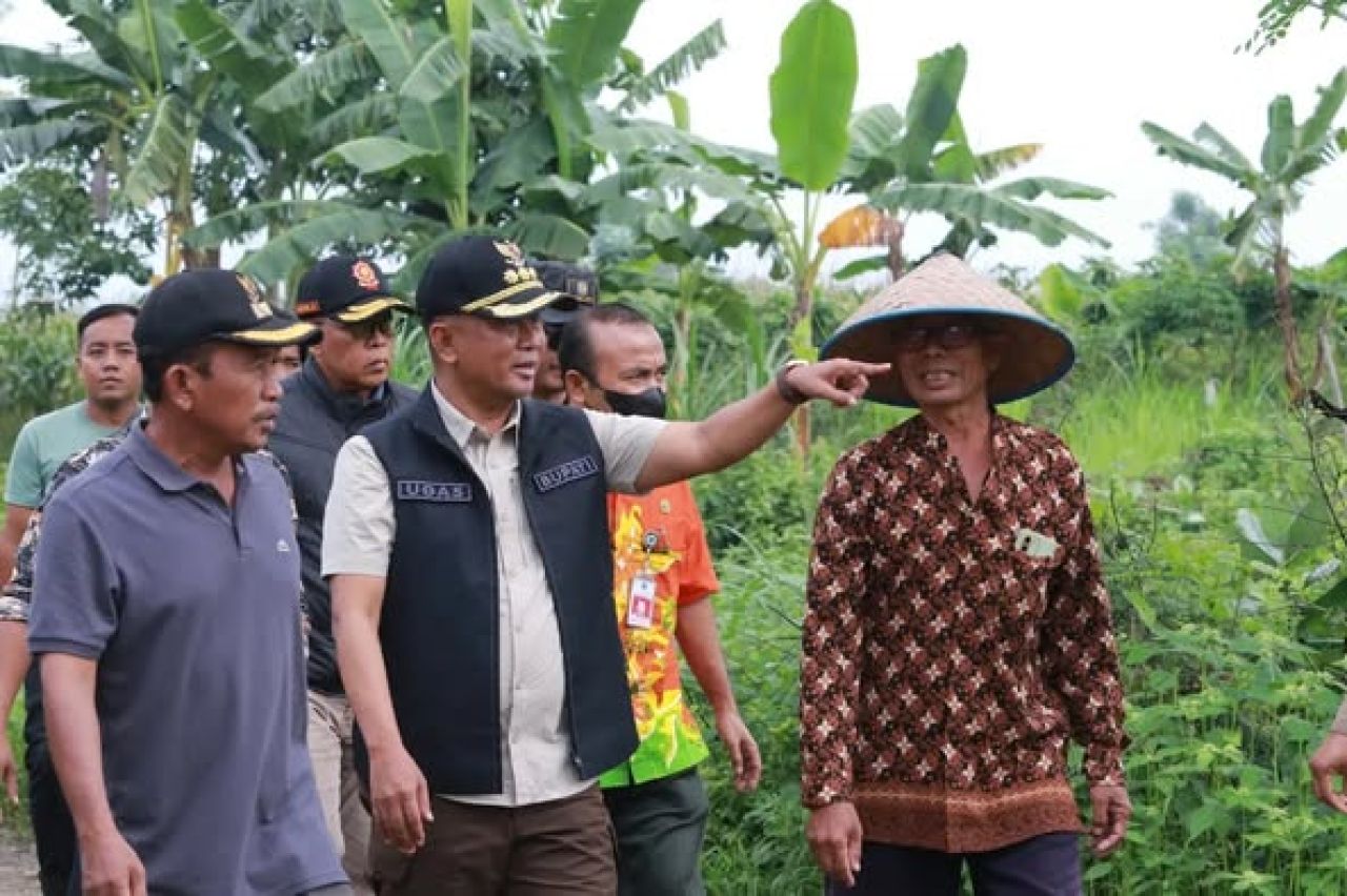 Pj Bupati Probolinggo sidak tambang ilegal