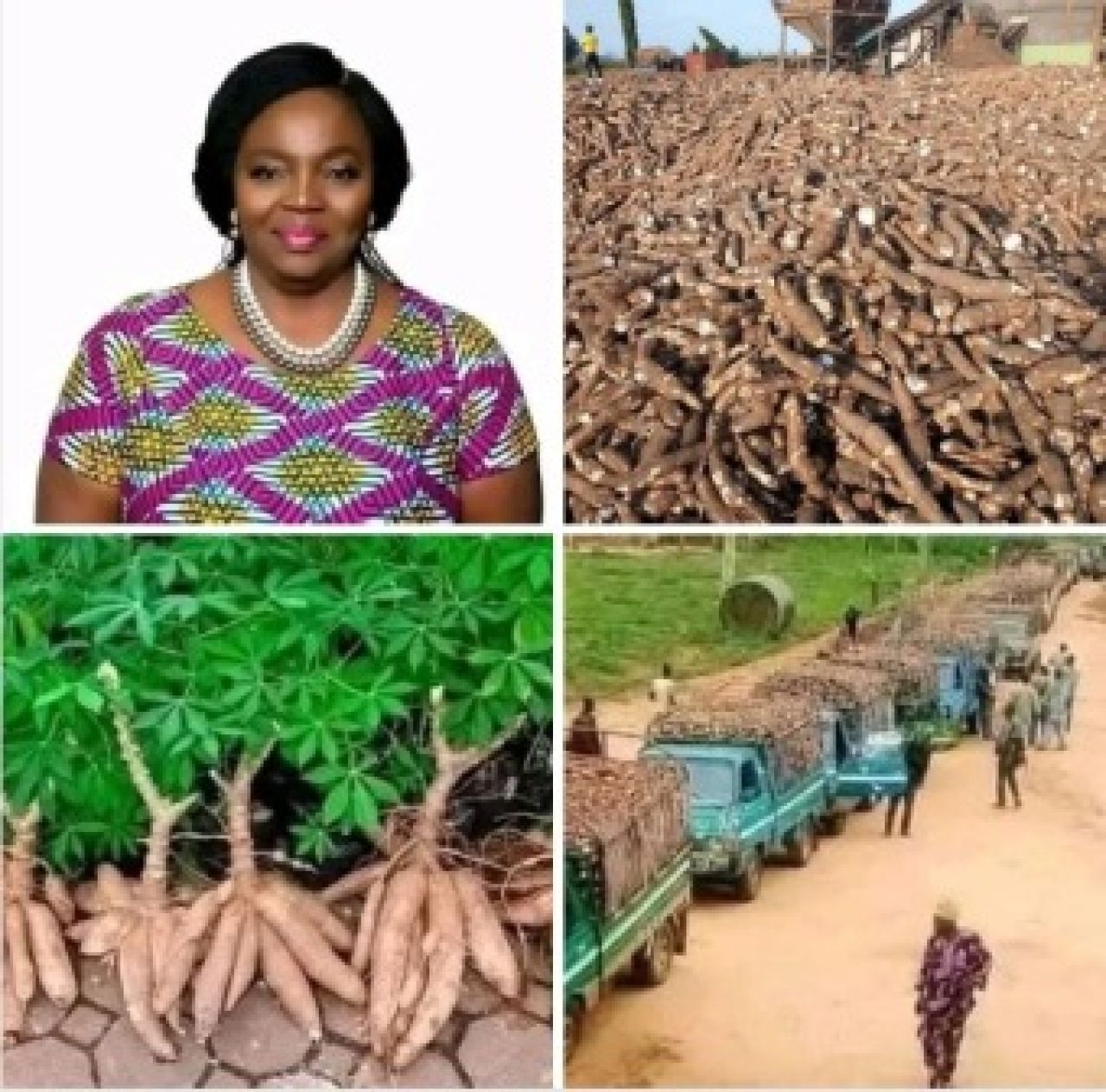 Yemisi Iranloye