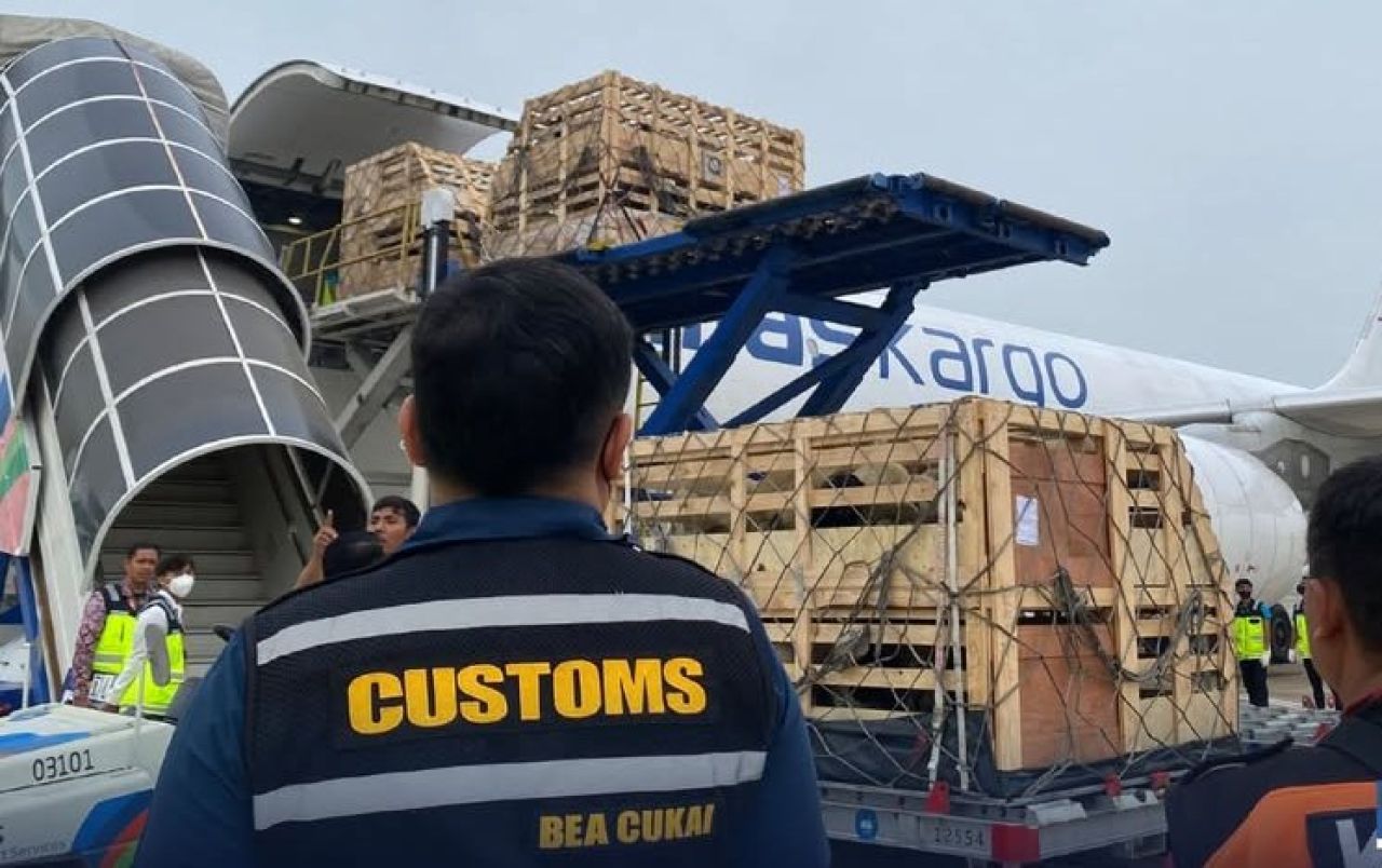 834 Ekor Bibit Domba dari Australia