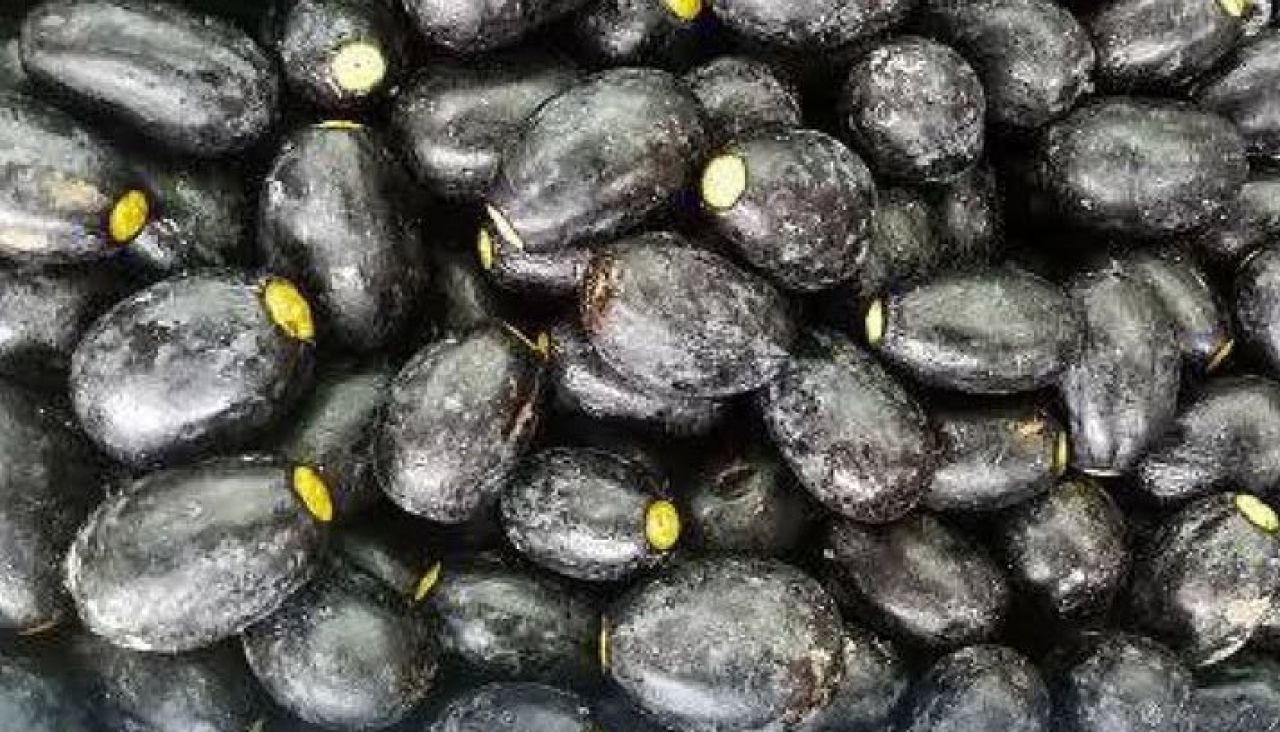 Buah Dabai Khas Kalimantan