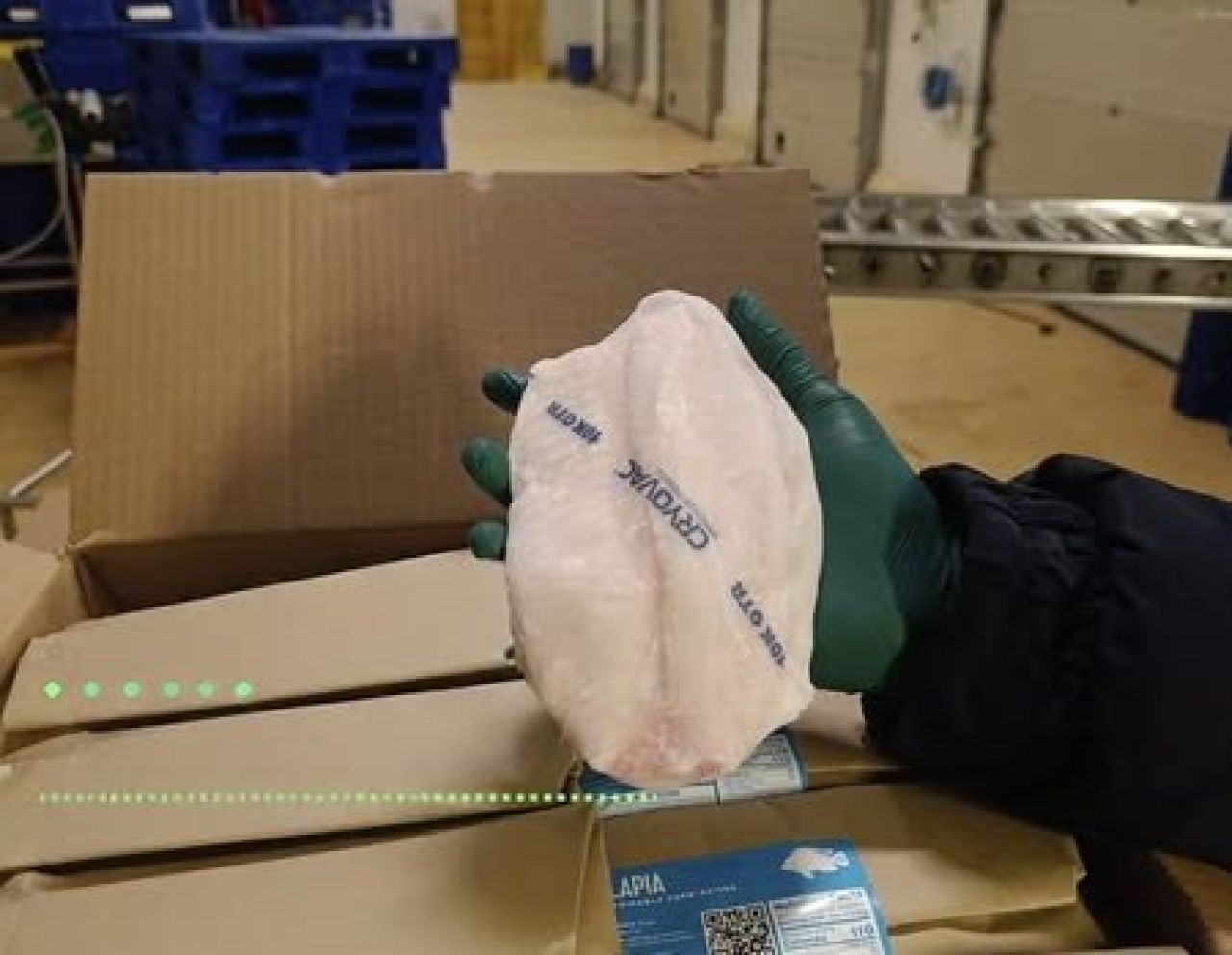 Frozen Farm Raised Tilapia Fillets