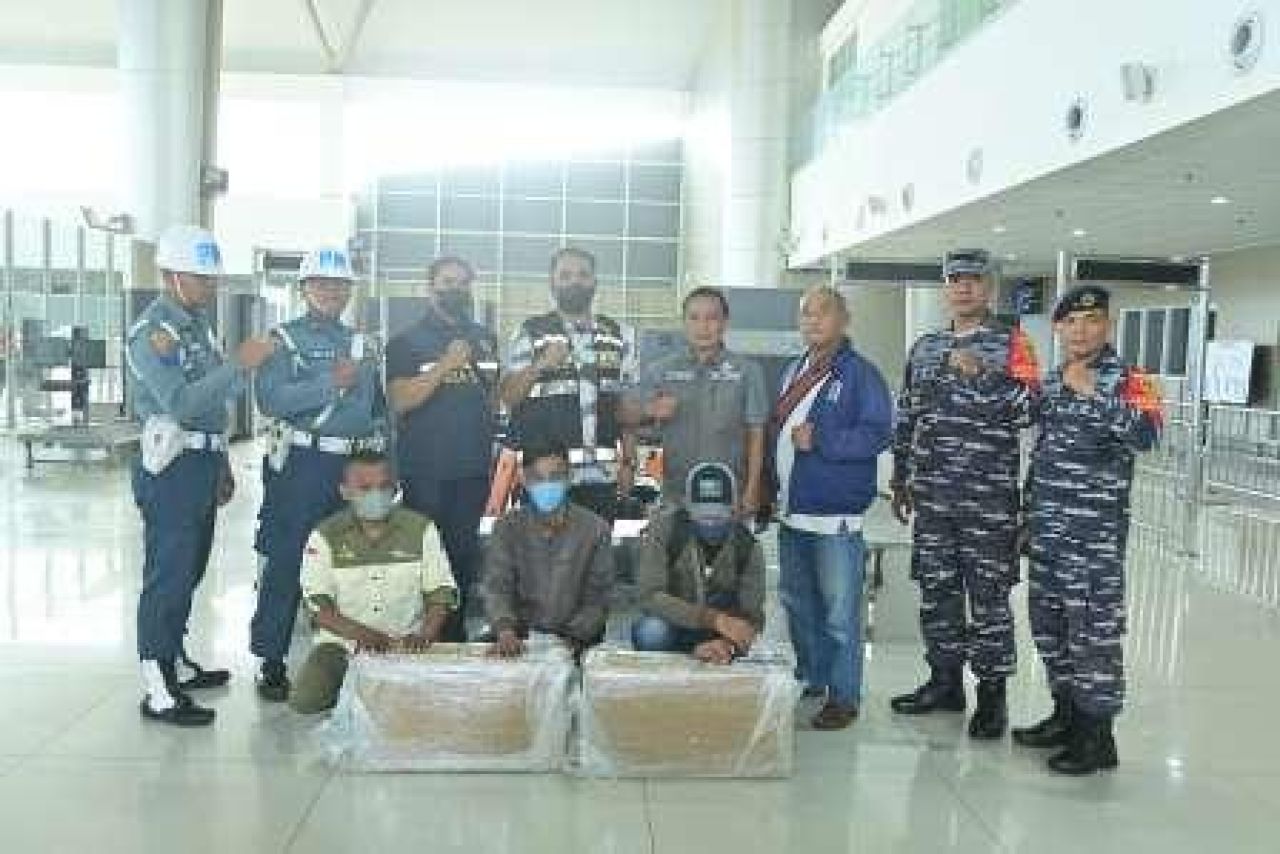 Penangkapan penyelundupan benih lobster di Bandara Juanda