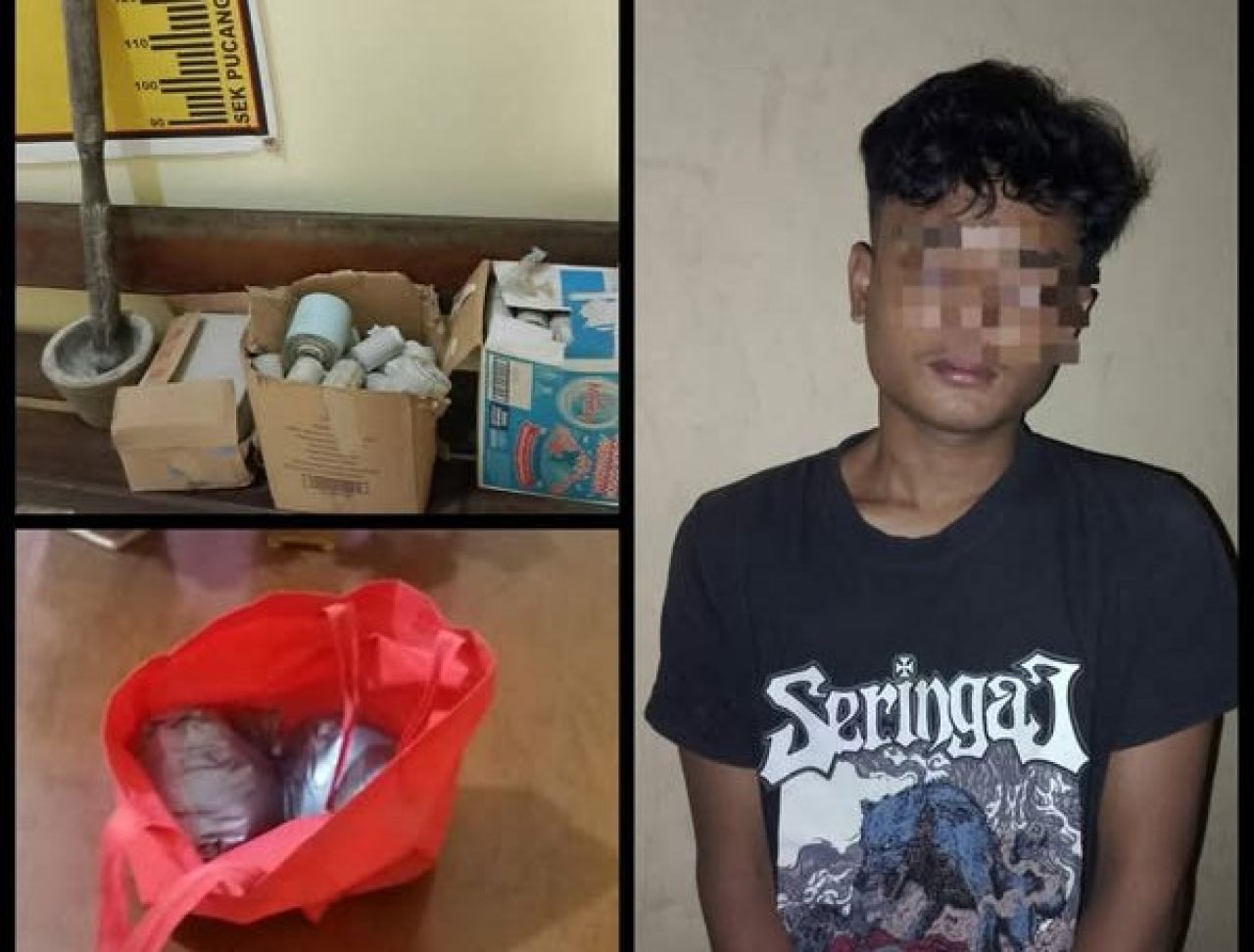 Pelaku berinisial MCD