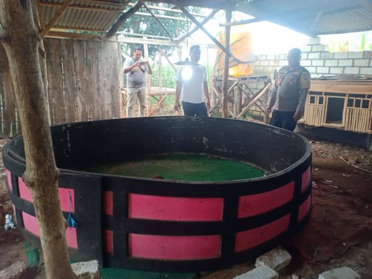 Arena sabung ayam di Desa Siwalan